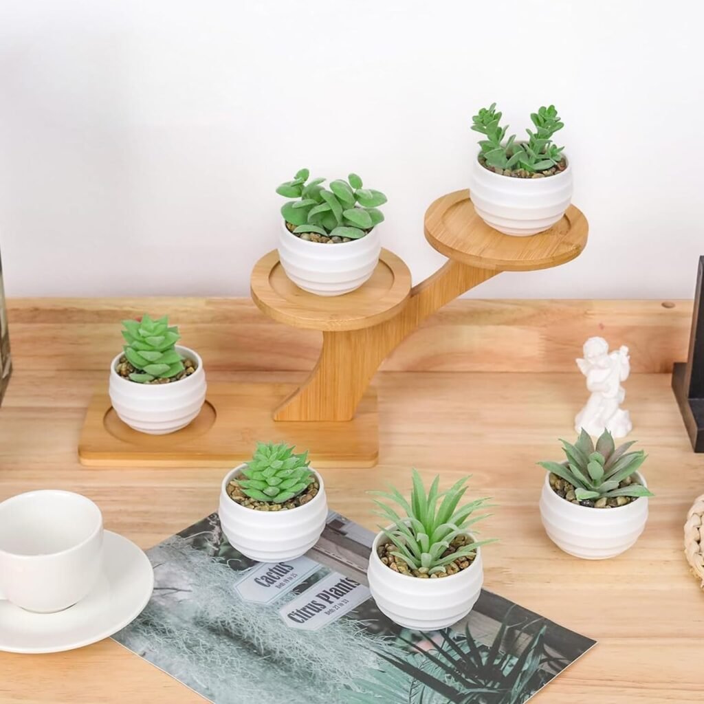 mini plant pot set succulent bedroom
